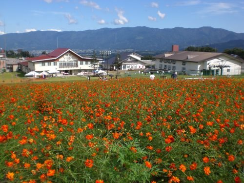 🏂 이옥스 아로사 스키장(이옥스 아로자) 이미지 4